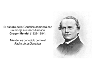 La imagen tiene un atributo ALT vacío; su nombre de archivo es image-1.png